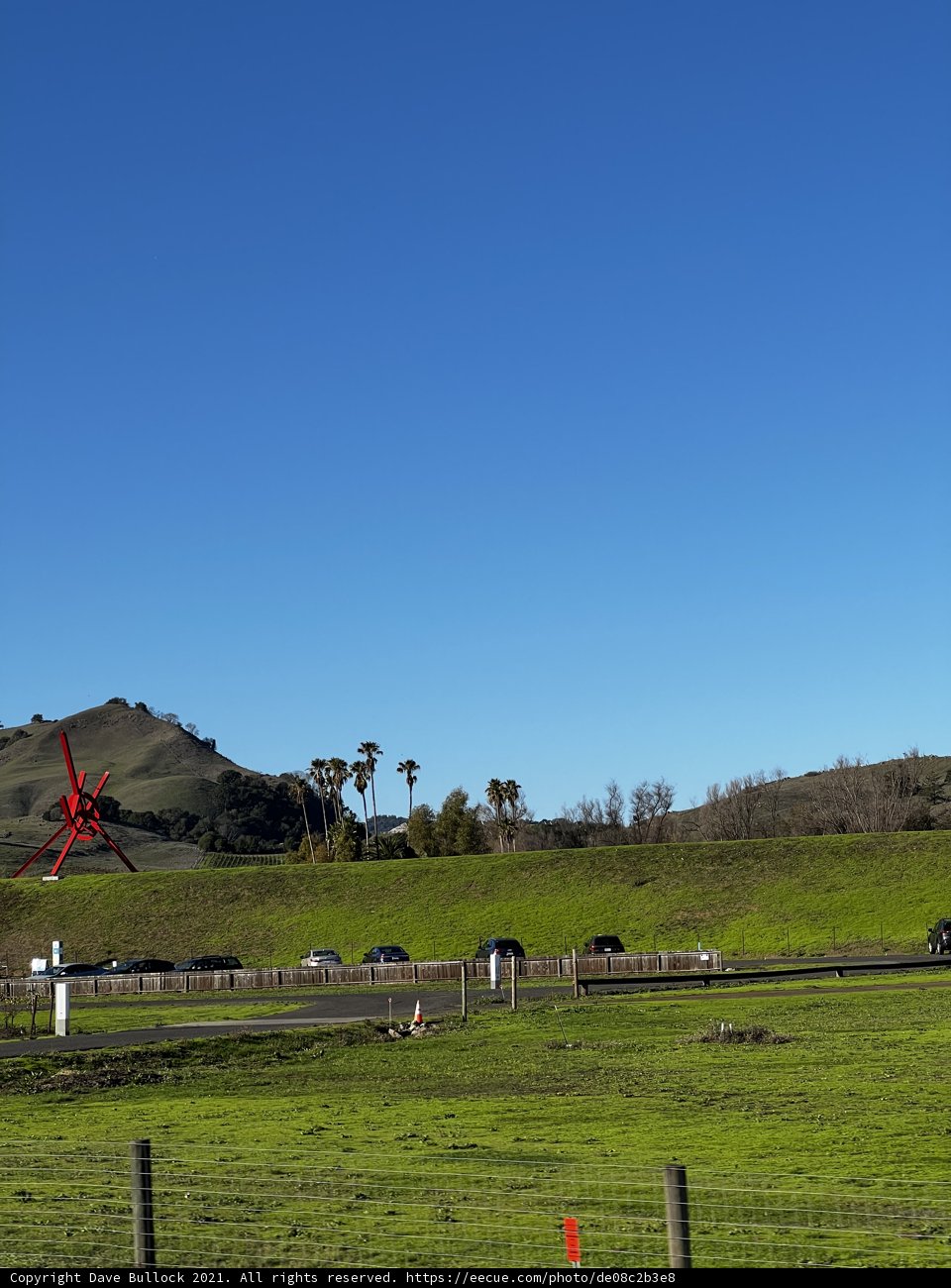 Peaceful Pasture