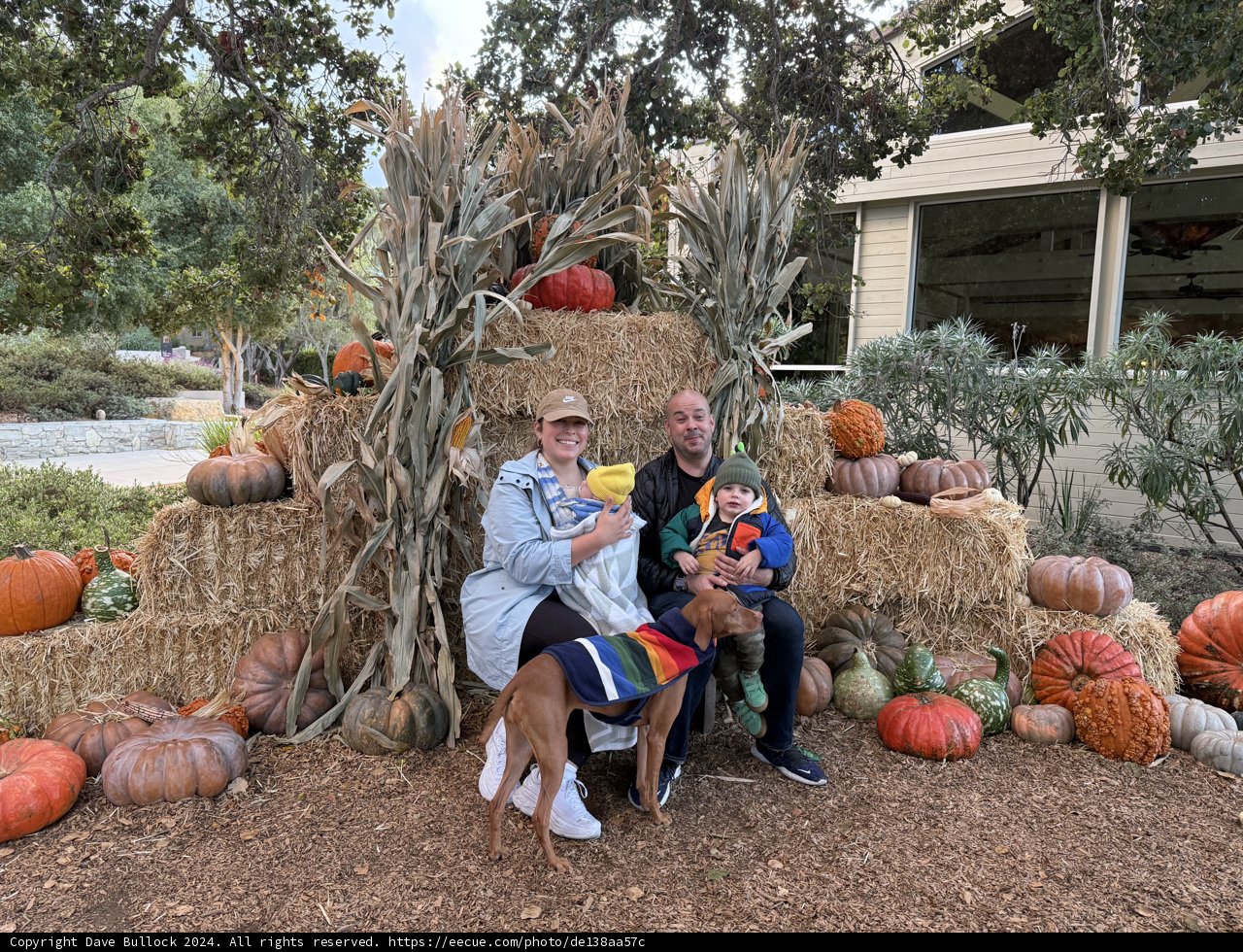 Autumn Harmony in Carmel