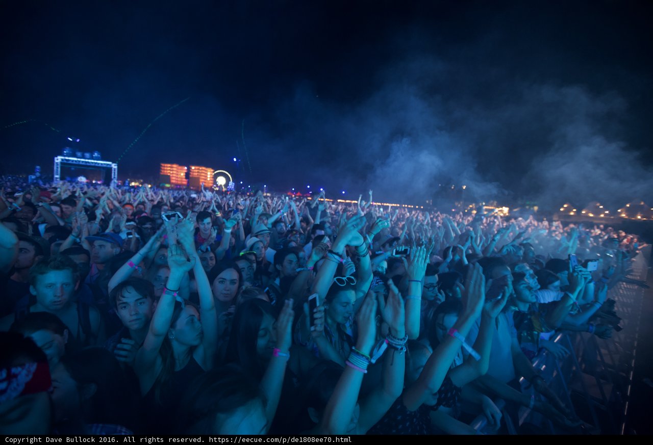 Festivalgoers Raise Hands in the Night Sky