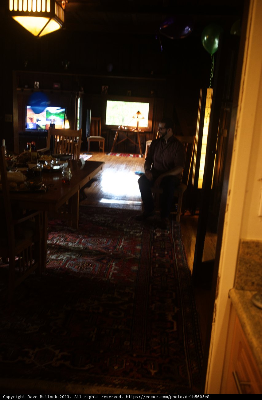 Relaxing in the Dining Room