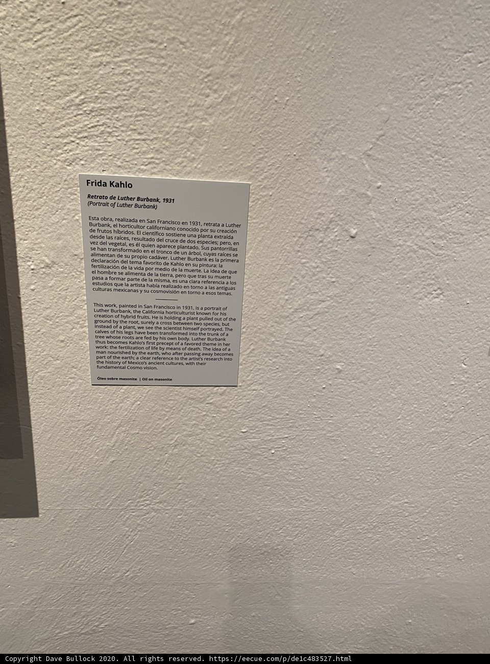 The Future of Art