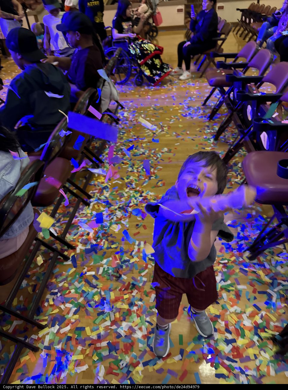 Confetti Carnival