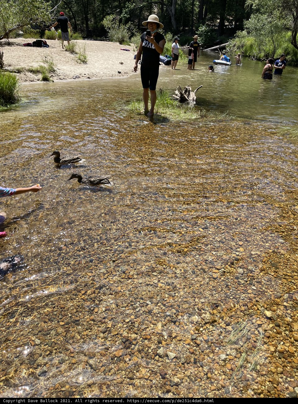 Fun in the River