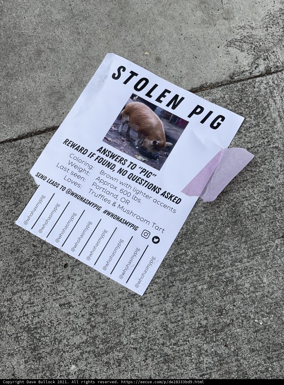Stolen Pig Flyer Found on San Francisco Sidewalk