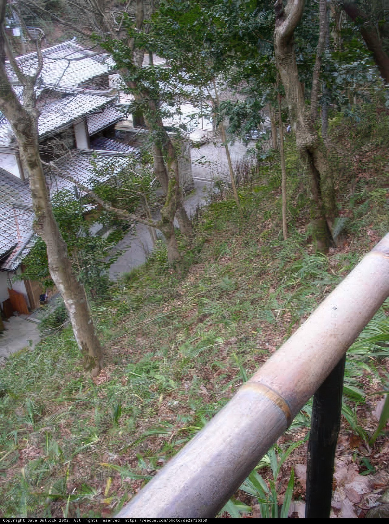 The Bamboo Support