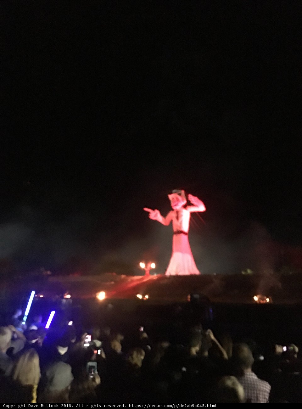 The Jedi Guardian