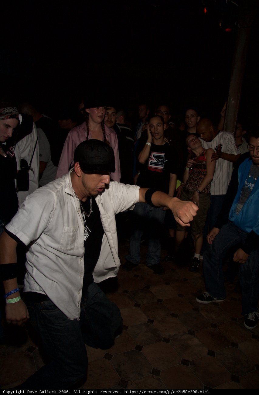 The Cool Cat in the Crowd