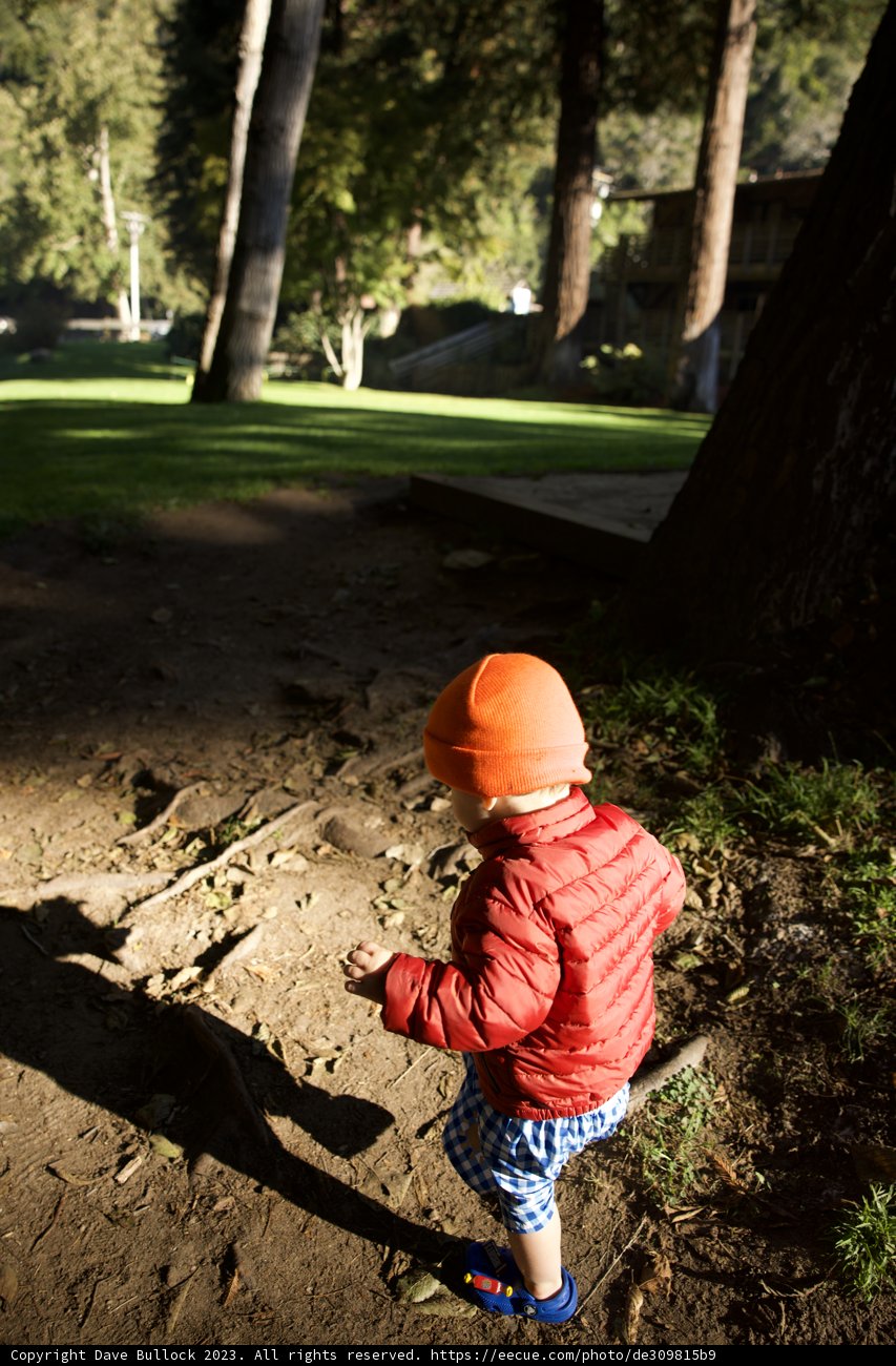 Bright Adventure on a Dirt Path
