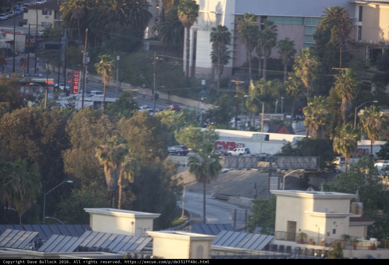 City Emergency Response Caption: A fire truck and police car respond to an emergency on a busy city street, surrounded by towering palm trees and modern architecture.