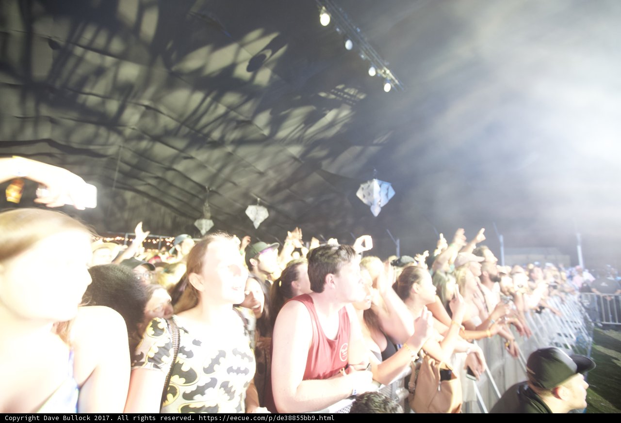 Hands Up at Coachella