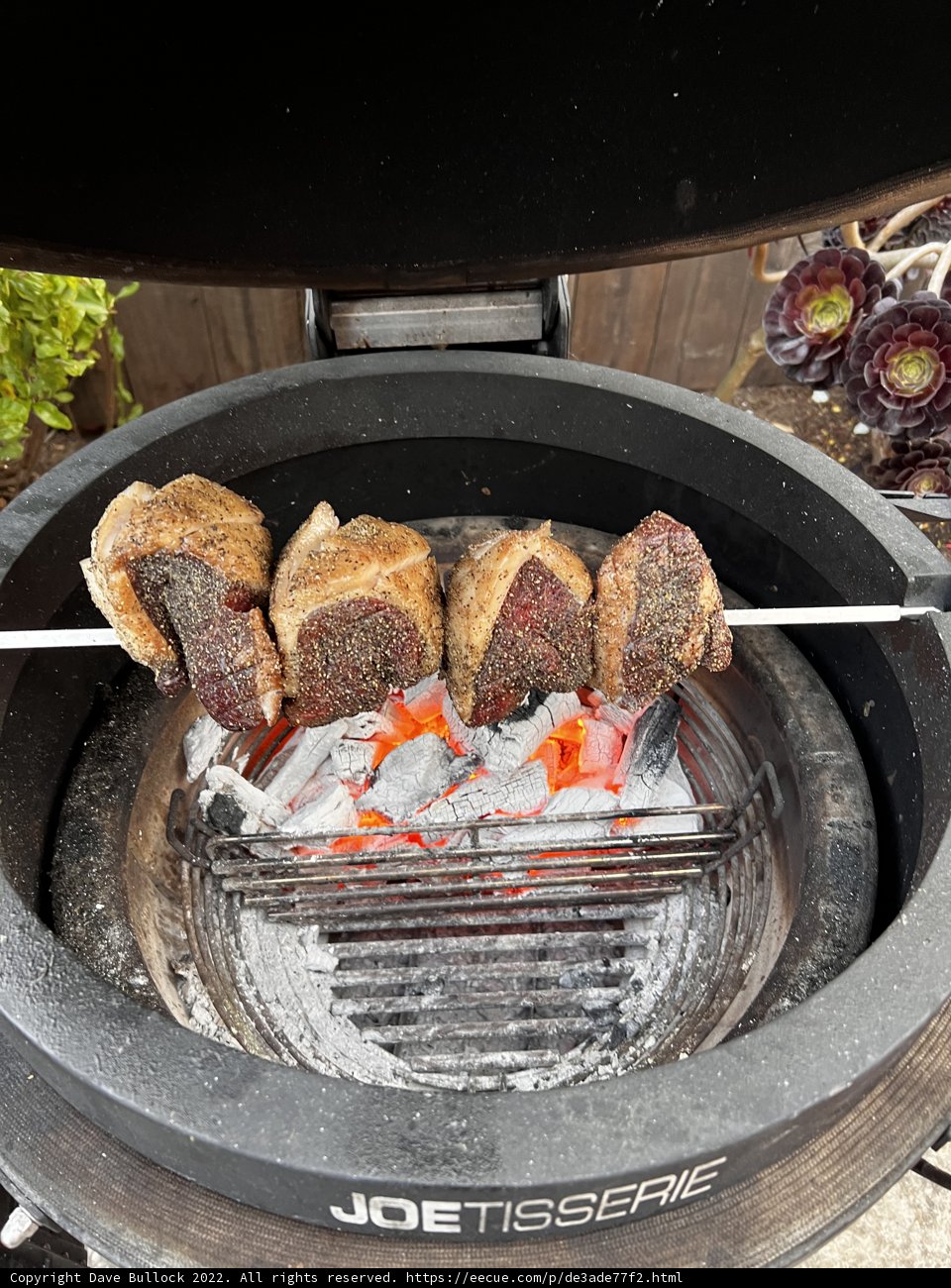 Grilling Up a Feast
