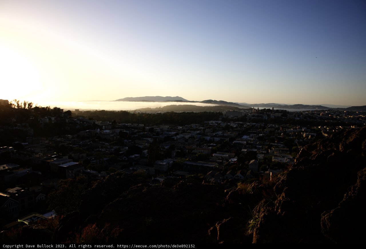 Urban Oasis: City Views from the Hills