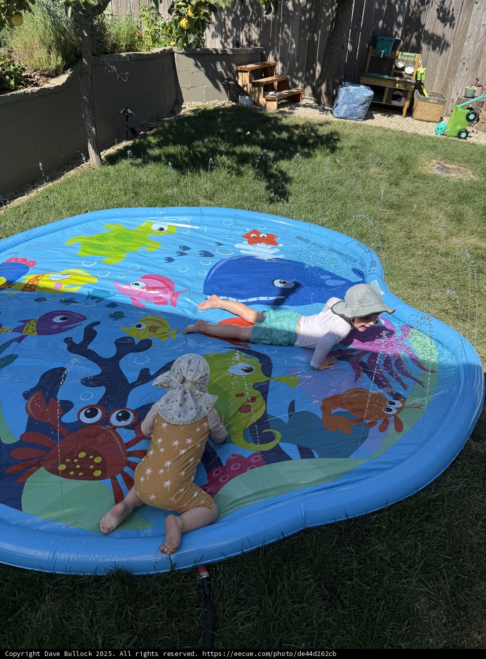 Summer Splash in the Backyard