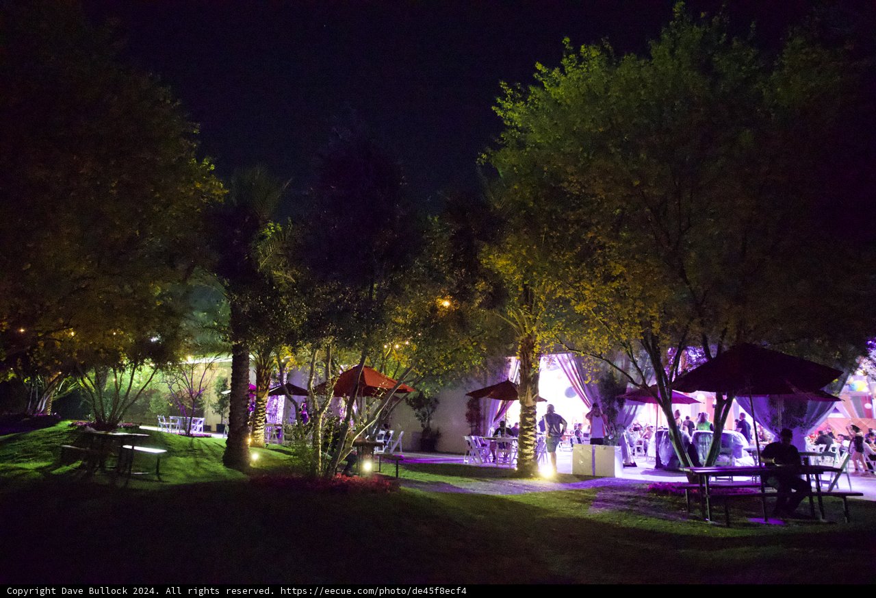 Enchanted Evenings: A Night View at Coachella 2024
