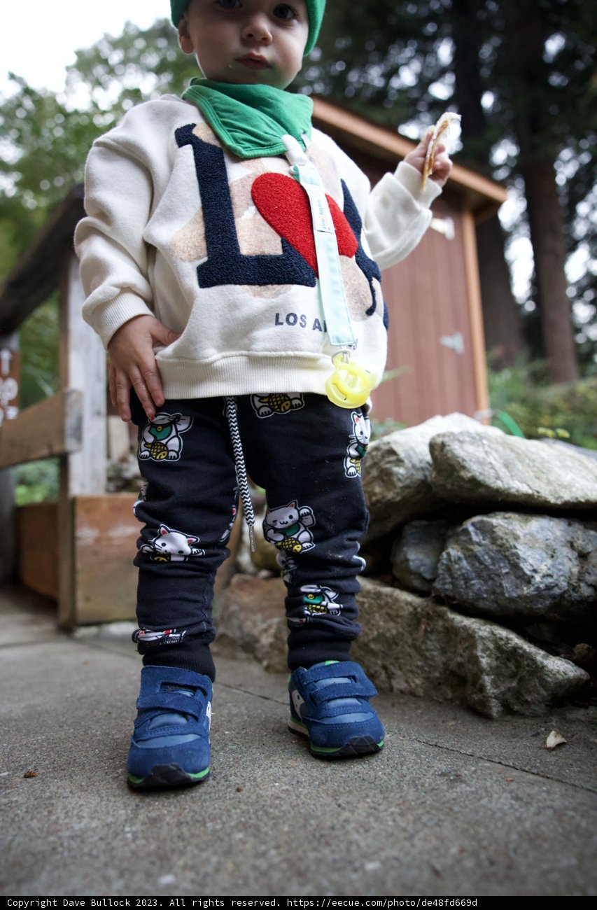 Little Explorer in Green