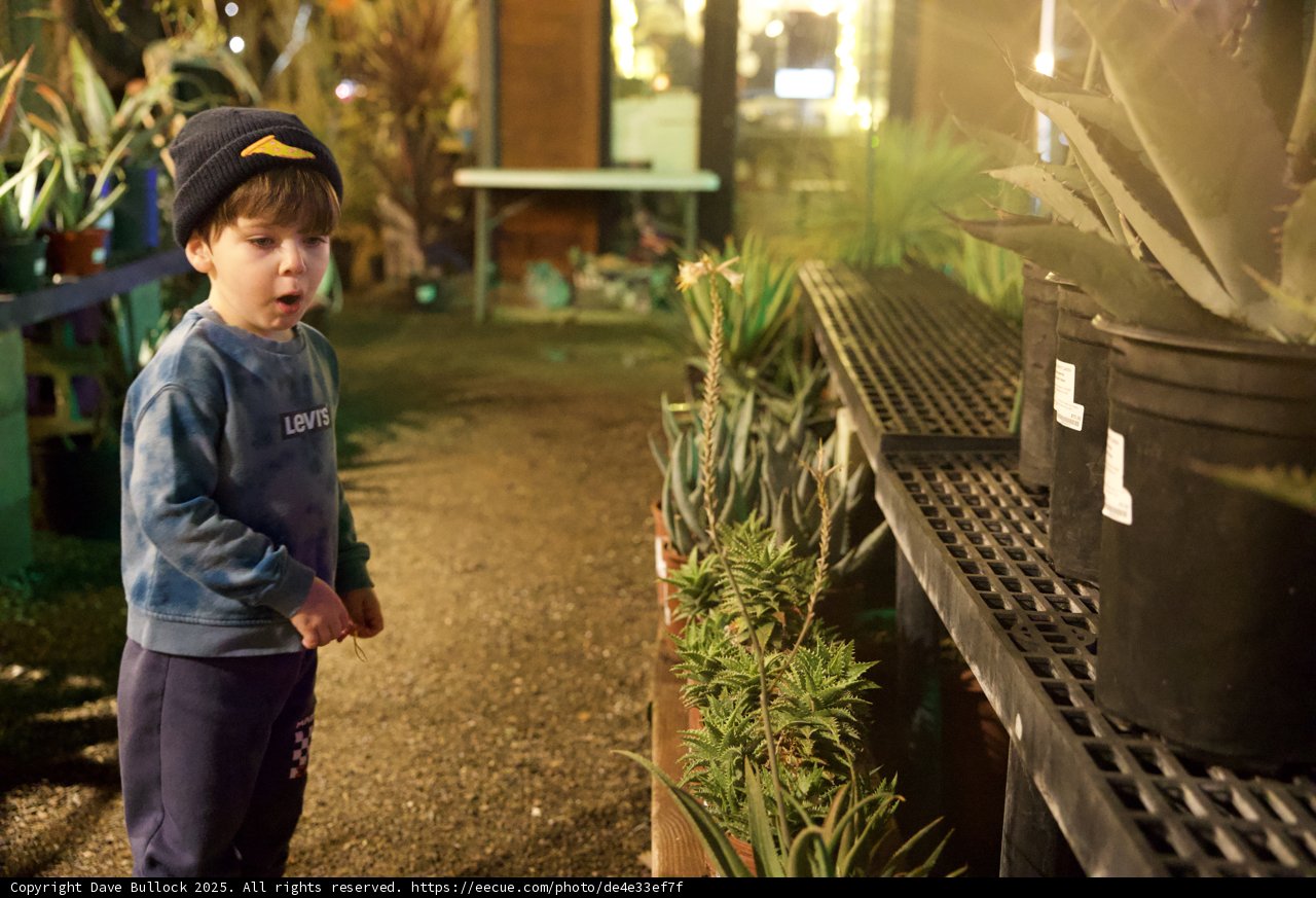 Little Explorer in the Garden of D'Lights