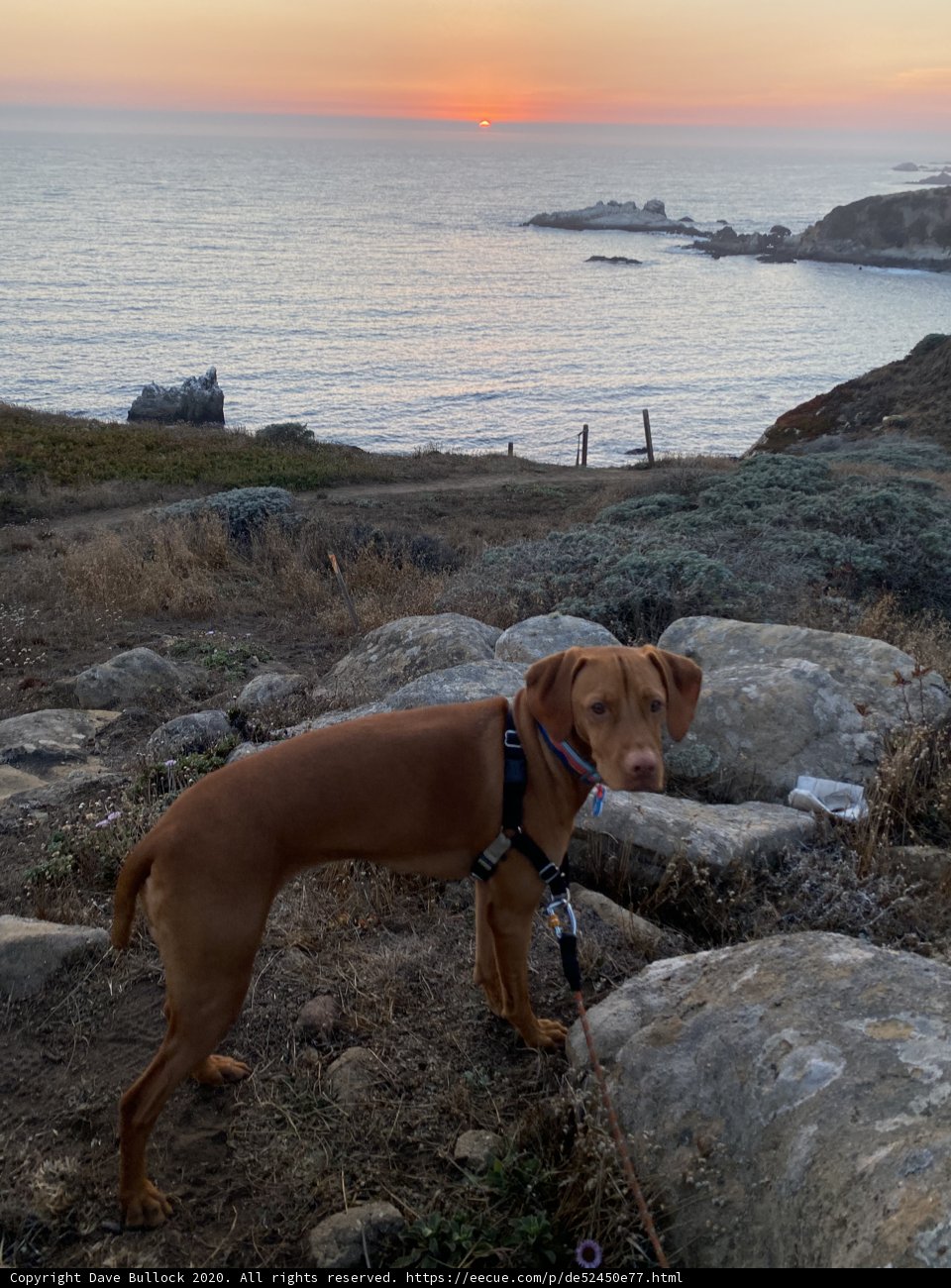 Serenity at the Shore