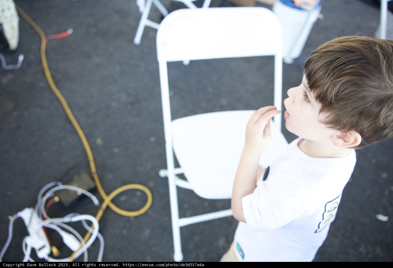 Curiosity at the Faire