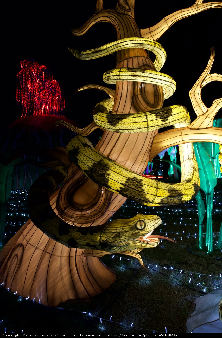 Serpent Under Starlight at the Glowfari, Oakland Zoo