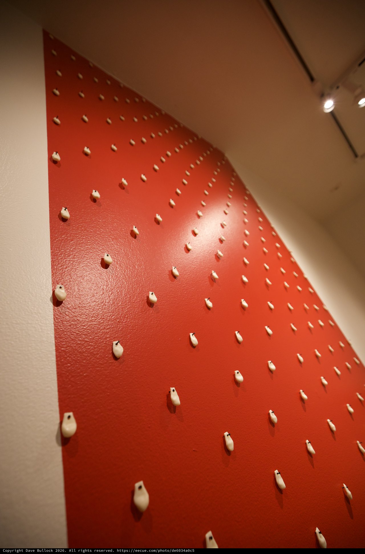 Red Pegboard Installation with Geometric Peg Pattern