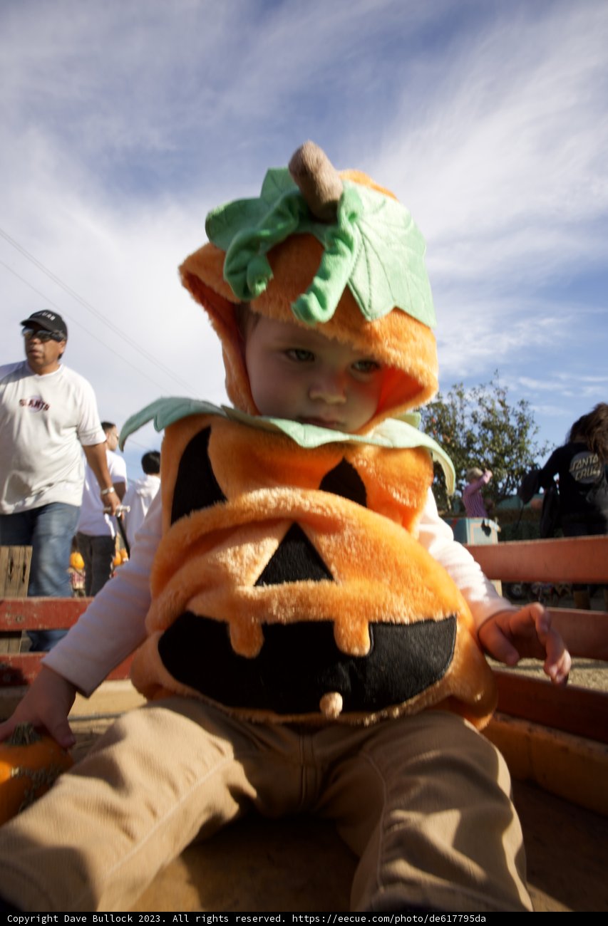 Pumpkin Kid: A Day at Halfmoon Bay, 2023