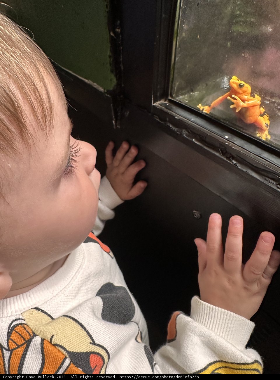A Curious Encounter