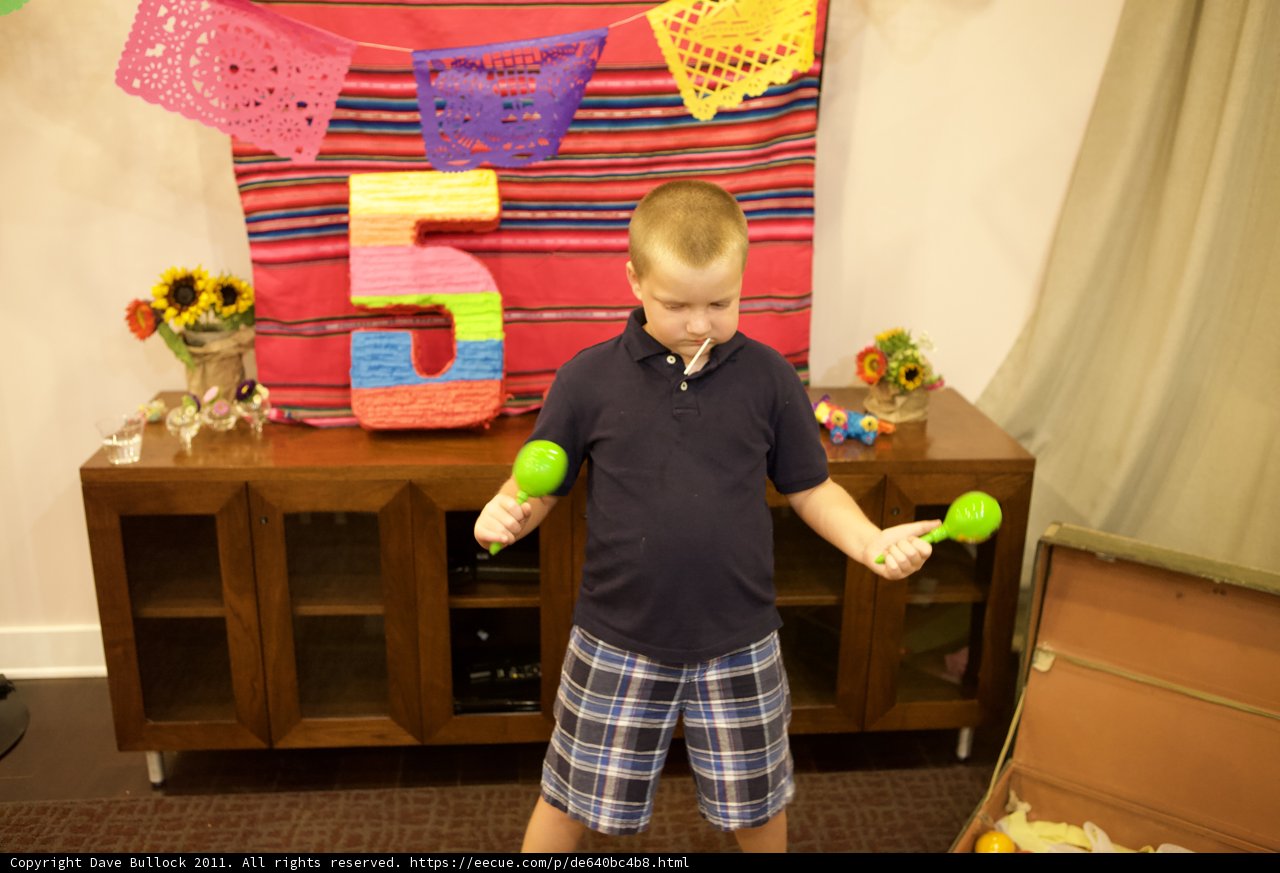 Young boy's musical talent on display