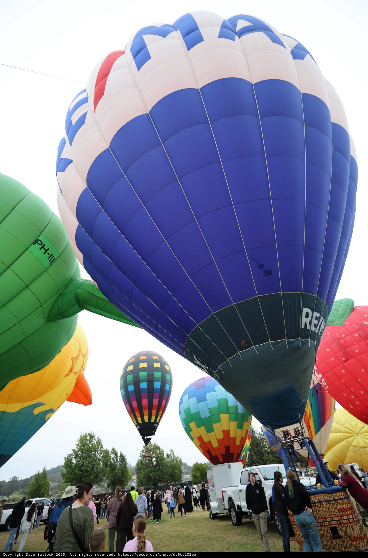 RE/MAX Balloon Dominates Sonoma County Balloon Classic