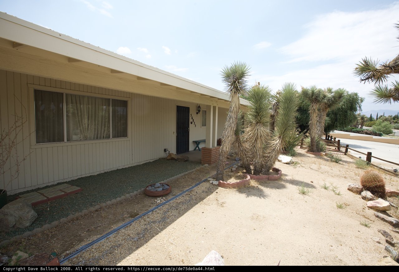 The Cactus House