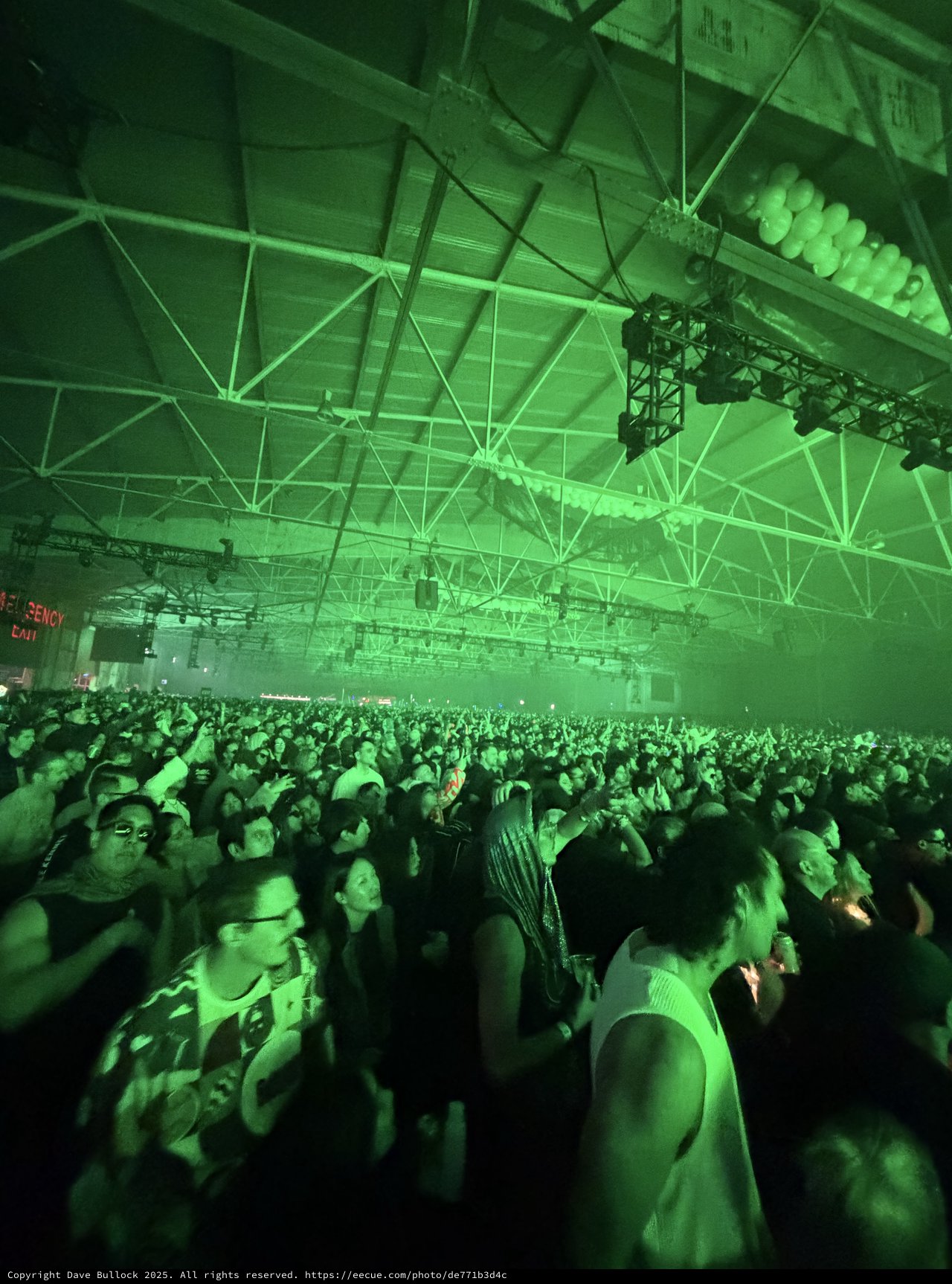 Massive Crowd at Electronic Music Concert Under Green Lights