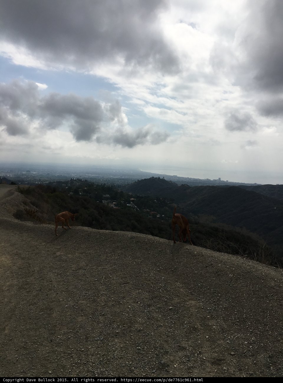 Two Horses on a Gravel Road by the Hill