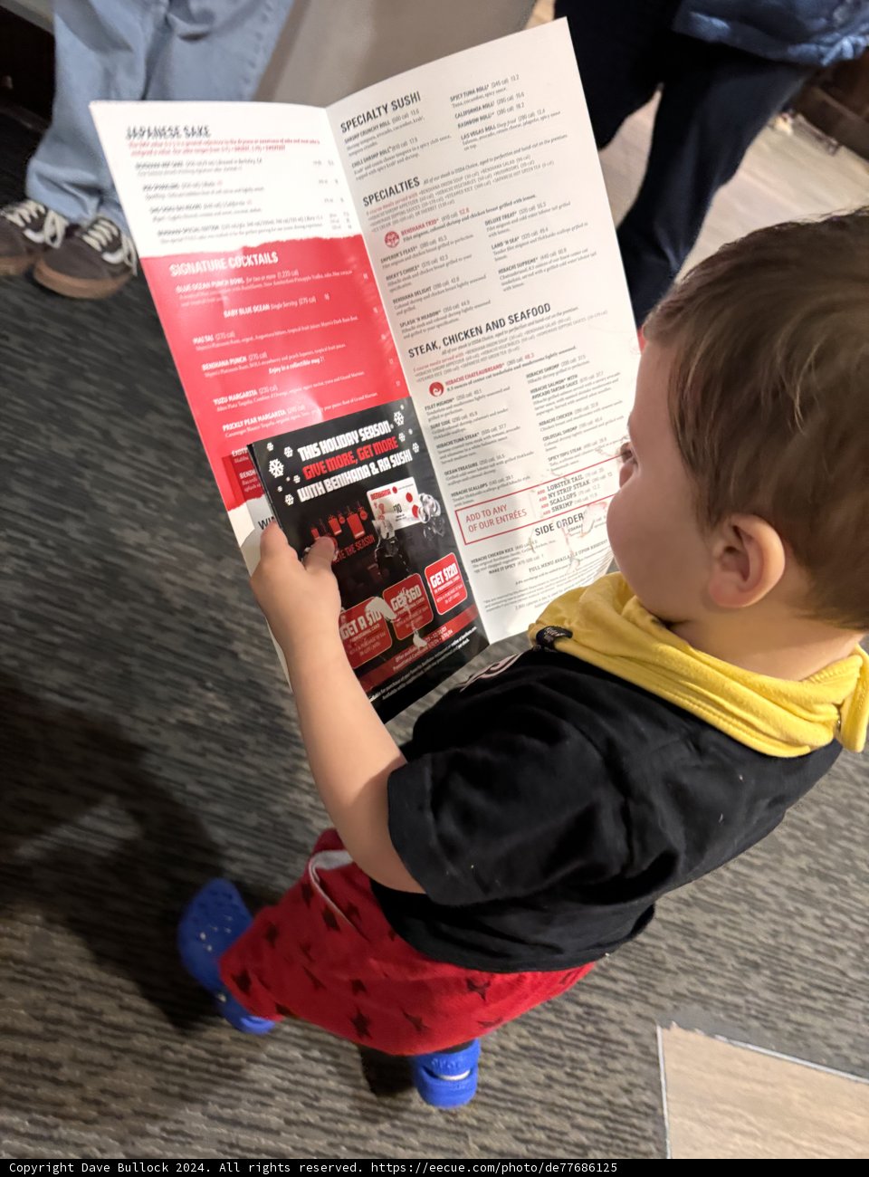 The Start of Curiosity: A Toddler's Fascination