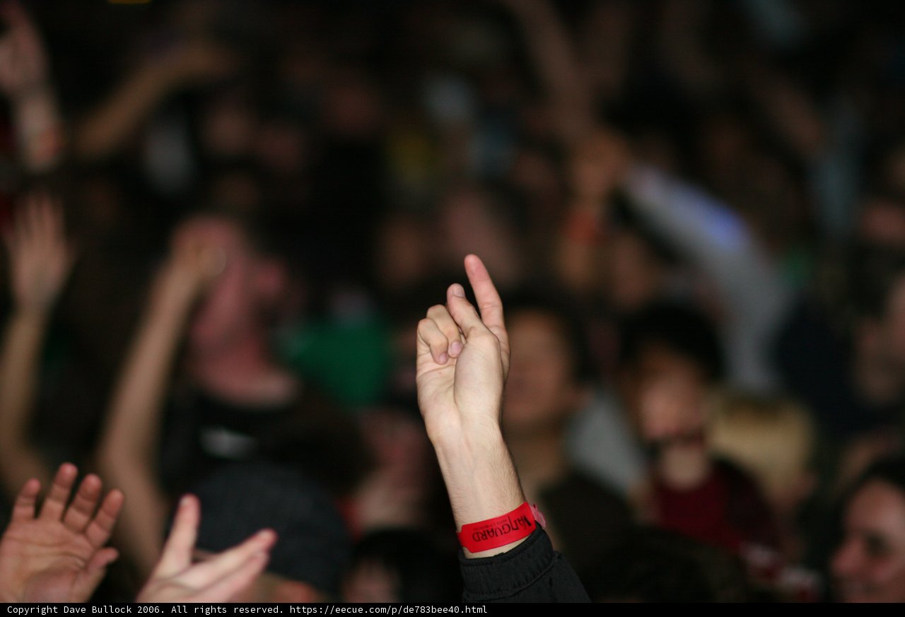 Hands Up in the Crowd