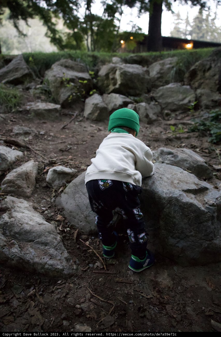 Adventure in the Heart of Nature: Wesley's Big Sur Exploration