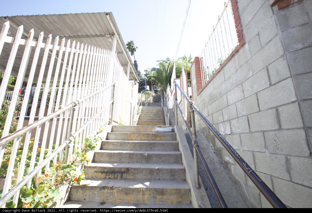 Stairway to a Tranquil Garden