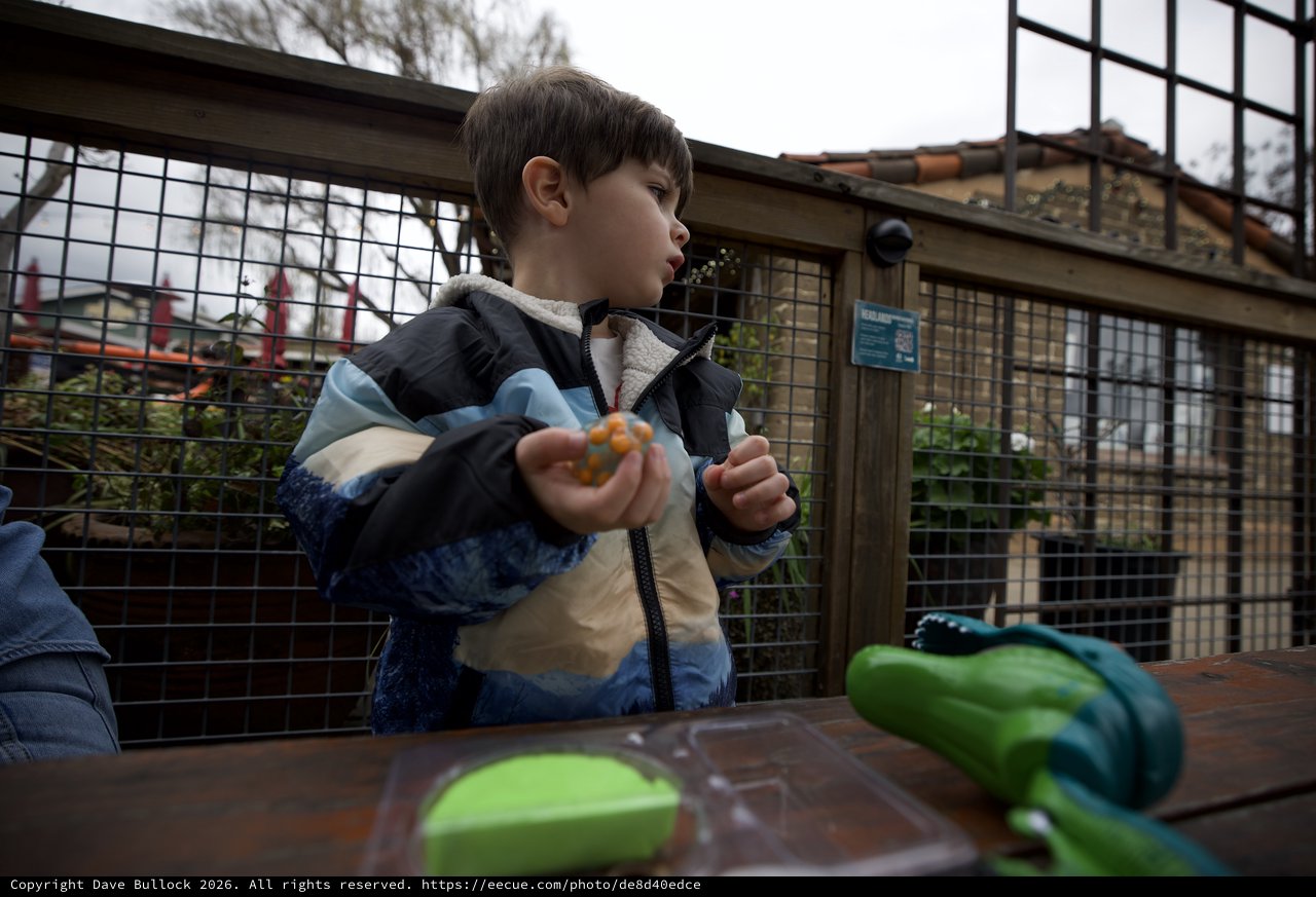 Young Boy Eating at Outdoor Zoo Enclosure