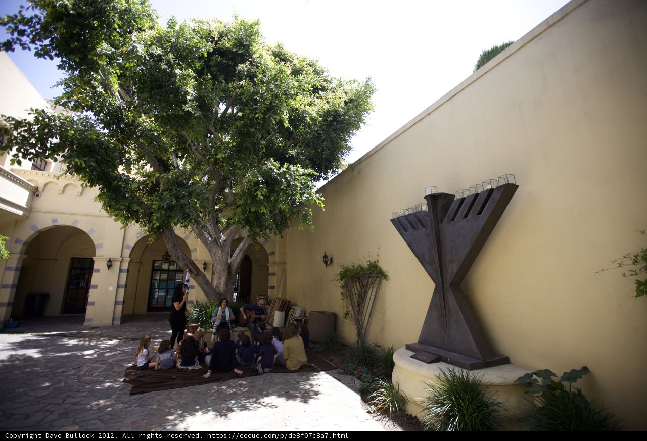 Courtyard Oasis