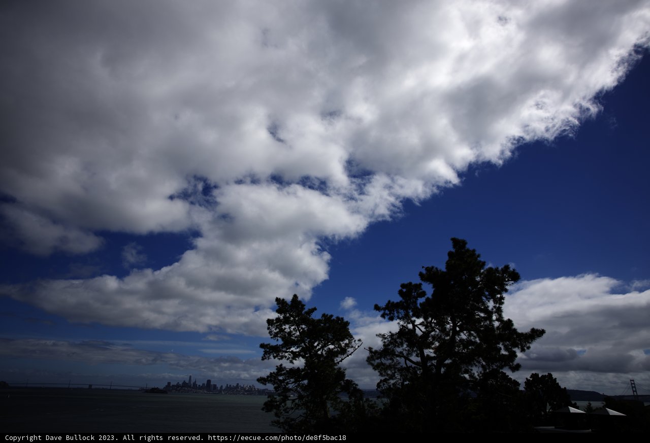Serene Bay View from Tiburon Hillside