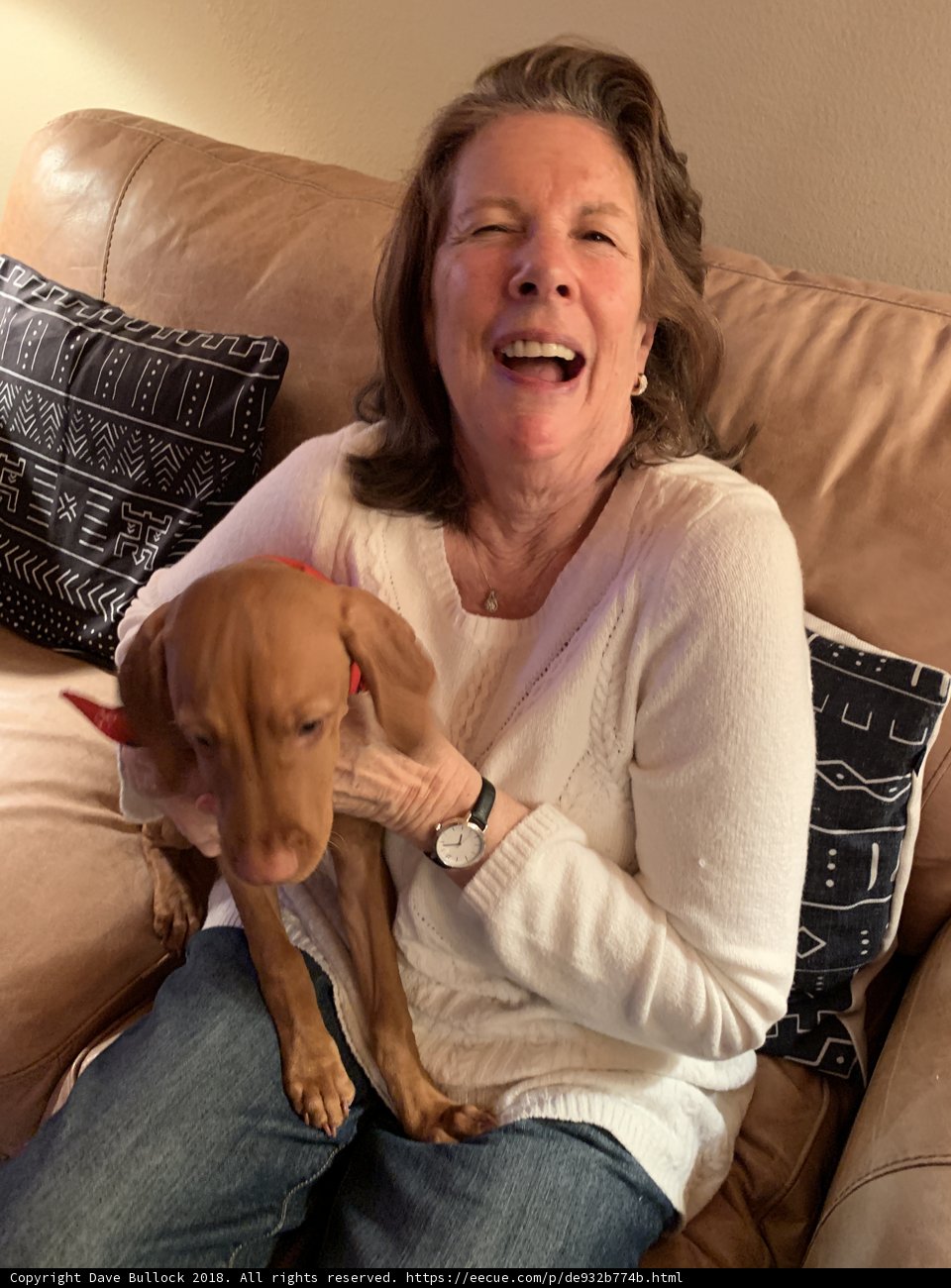 A Woman and Her Furry Companion