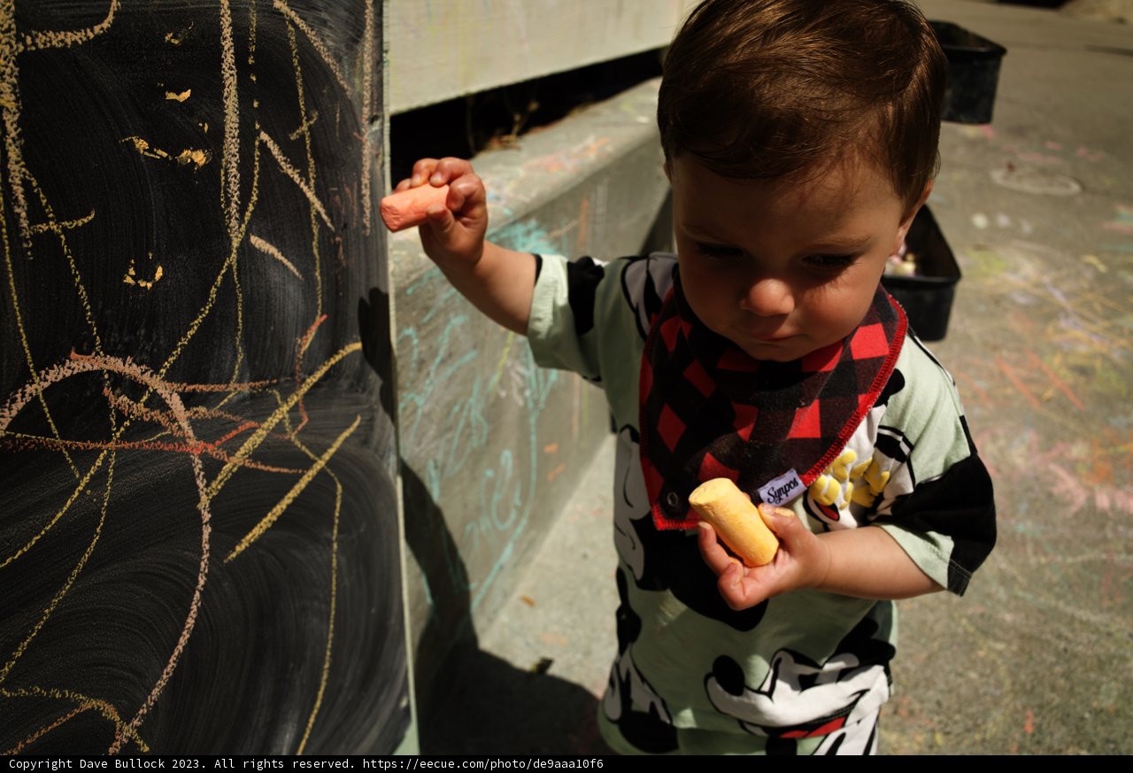 Creativity at Play
