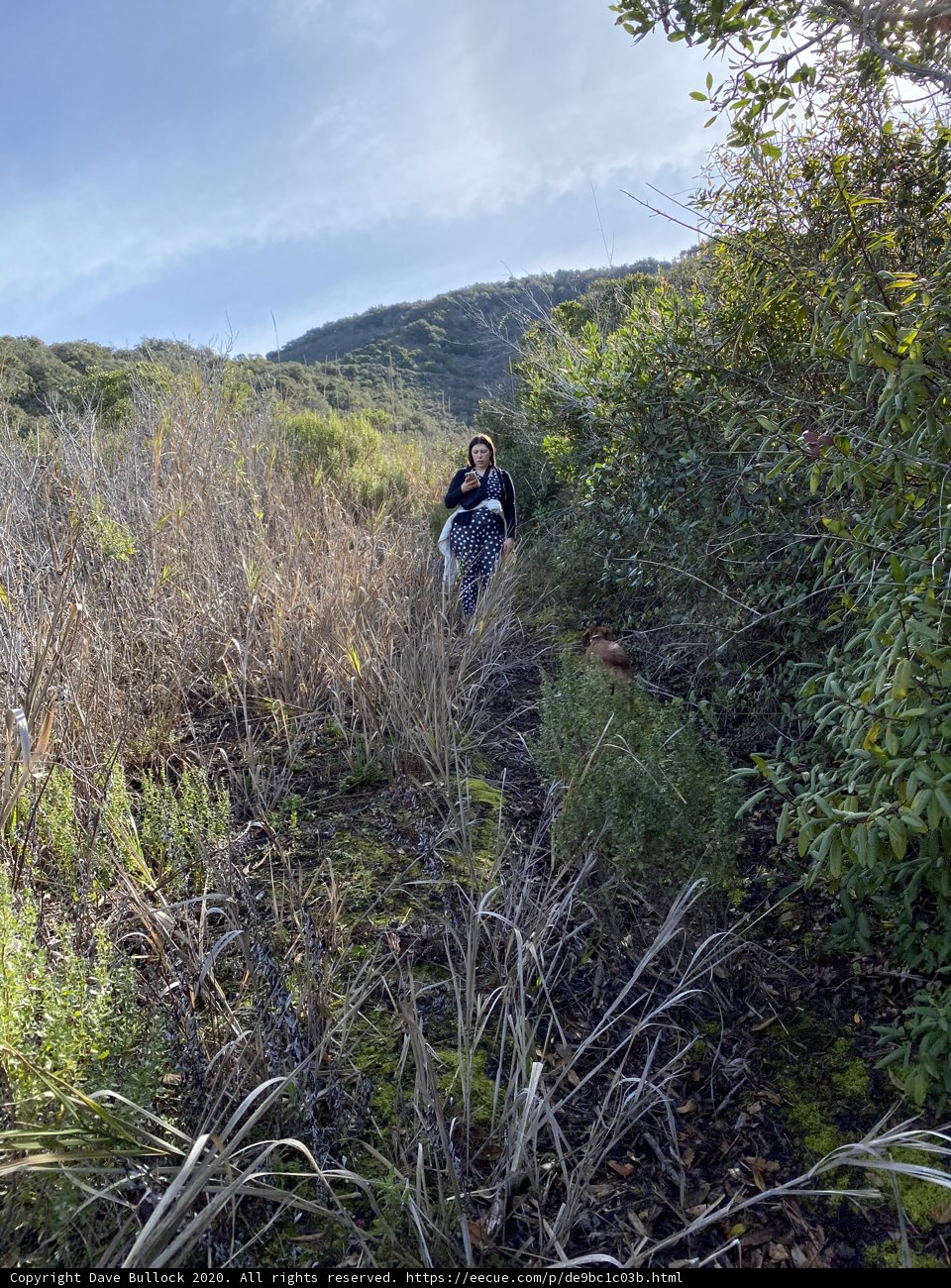A Walk in the Carmel Valley Wilderness