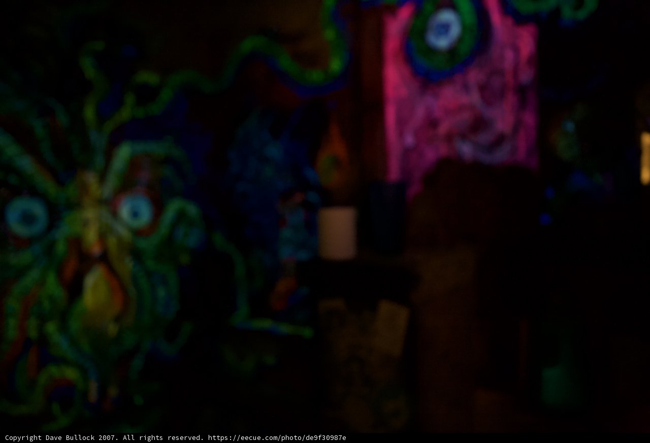 Vibrant Mural Adorns the Room