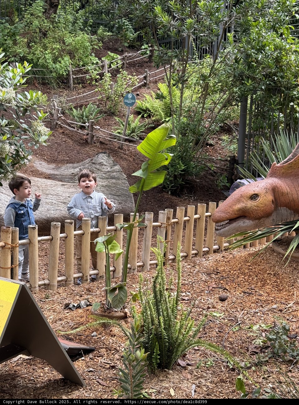 Jurassic Adventures in the Backyard