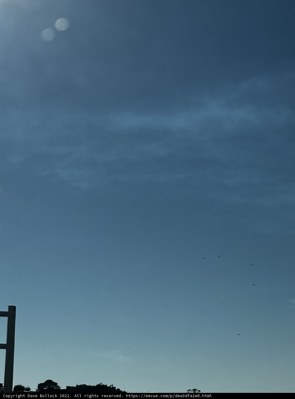 Kite-Flying Fun with a Stunning Skyline