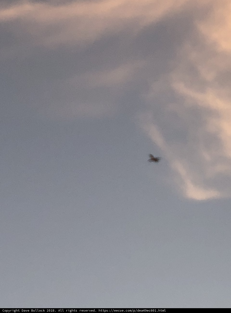 Flight in the Clouds
