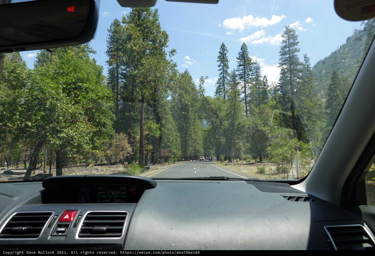 Scenic Mountain Road Drive Through Forest