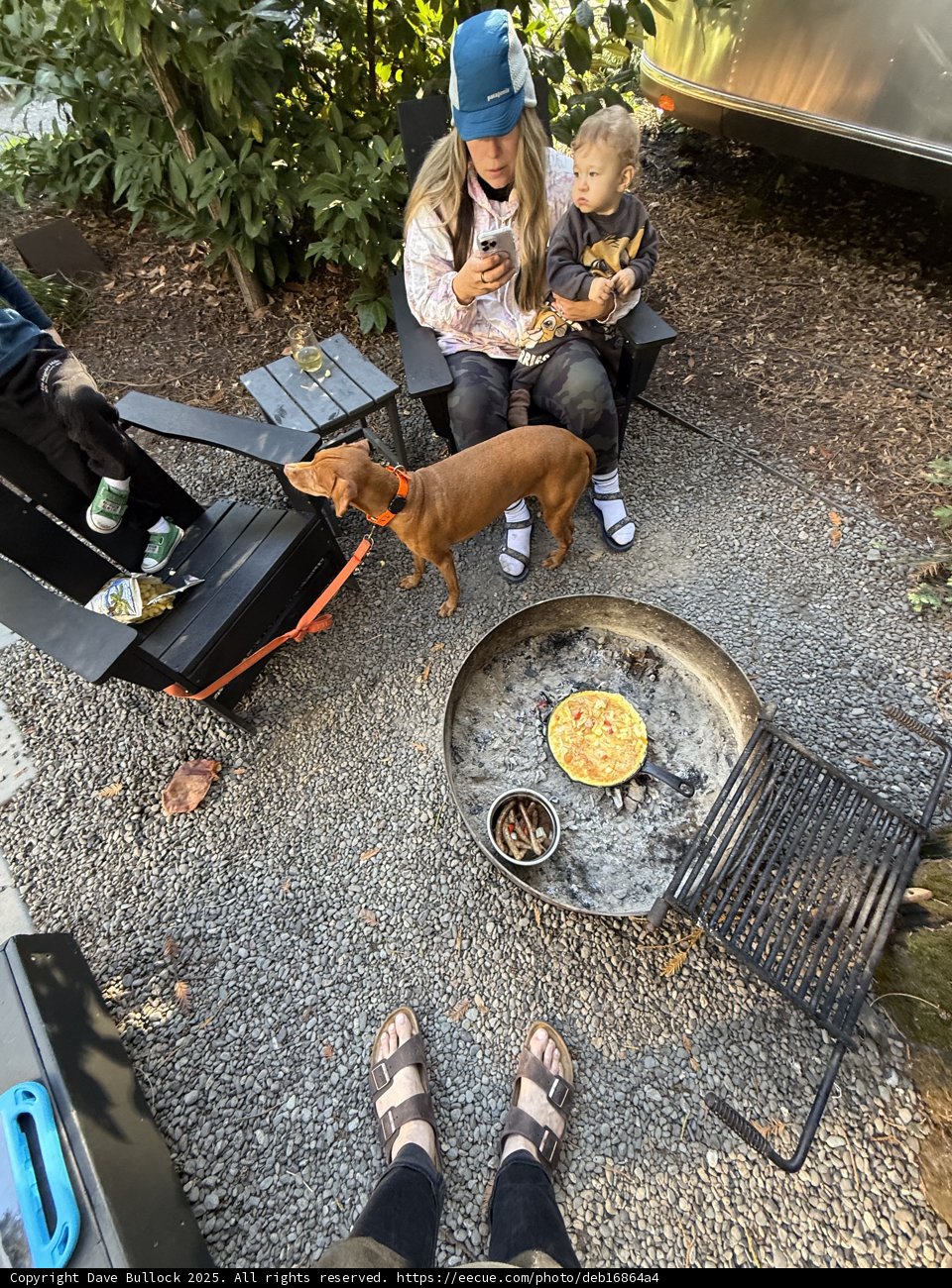 Morning Moments in Guerneville