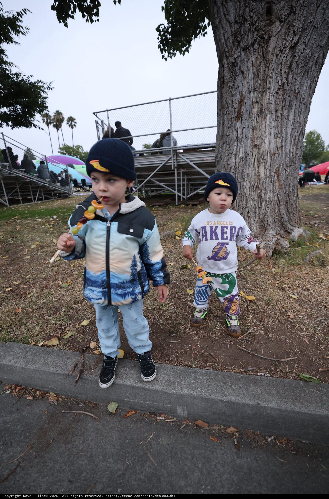 Two Young Boys Enjoying Candy Skewers at Balloon Festival