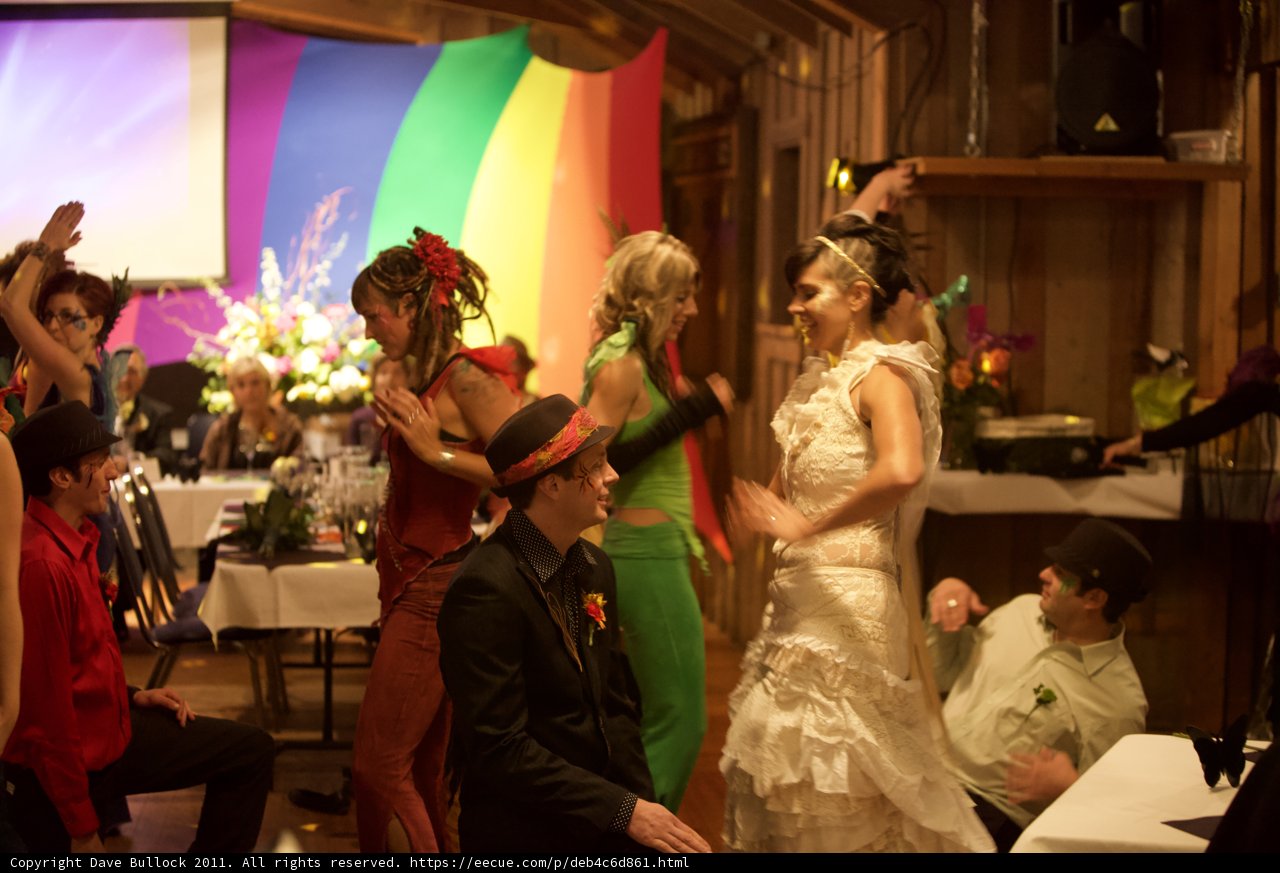 Wedding Dance Party
