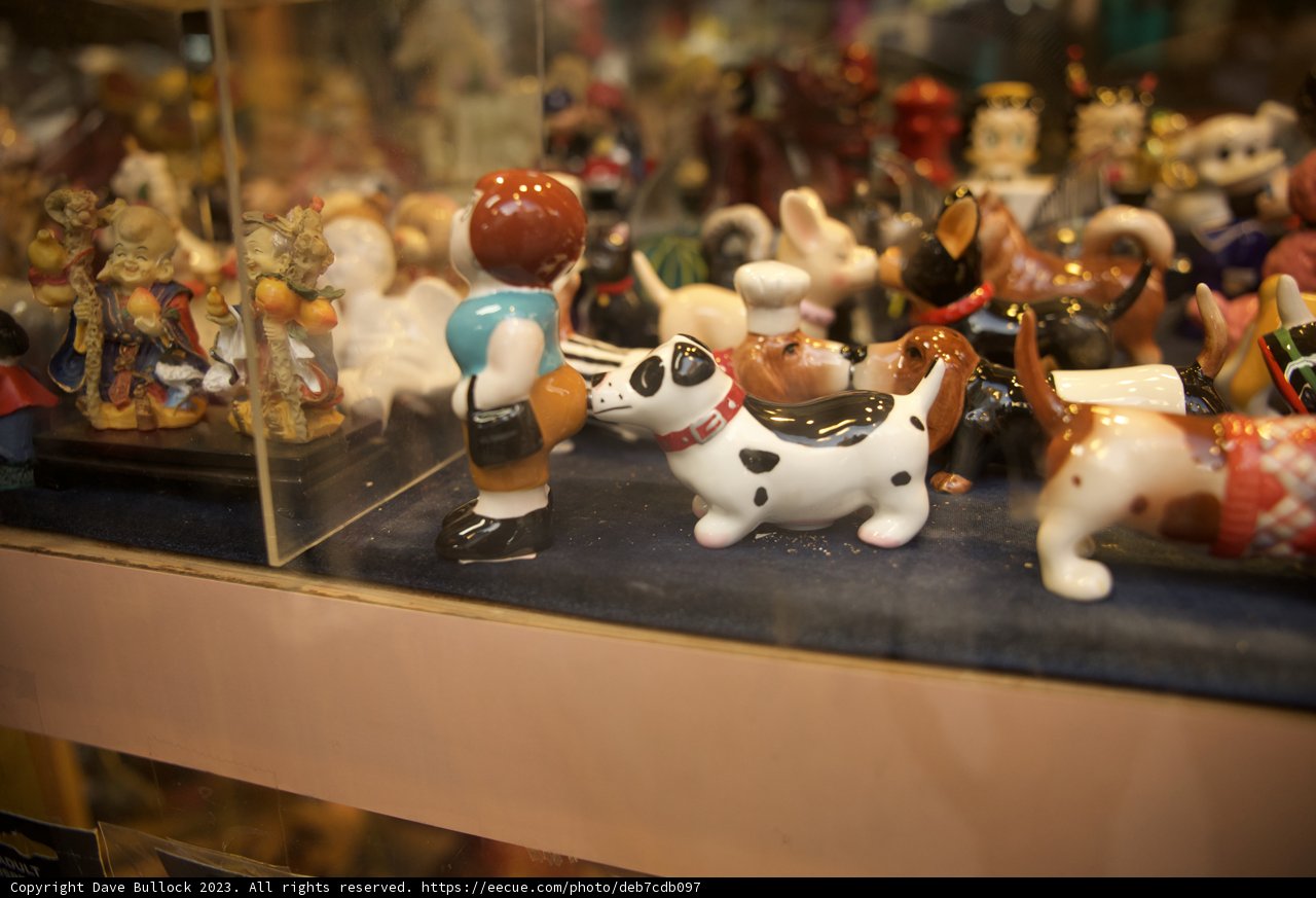 Porcelain Menagerie in Chinatown
